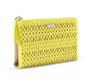 Stella & Dot Double Clutch.