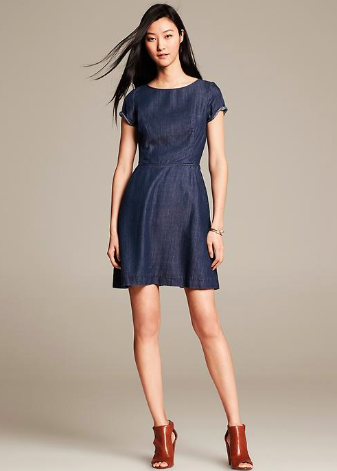 Banana Republic Chambray Fit-and-Flare Dress.